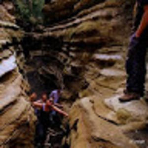 Meet your Posher, Savannah